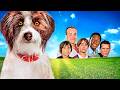 Sox A Familys Best Friend FAMILY Full Movie In English