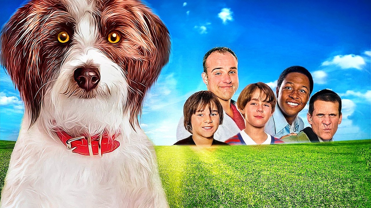 Sox : A Familys Best Friend | FAMILY | Full Movie in English