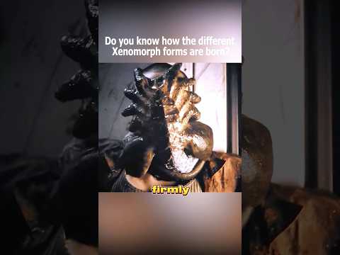How the different Xenomorph forms are born?