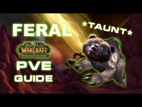 How to sucessfully start as FERAL Druid in TBC // TBC Classic Feral Druid PvE Guide