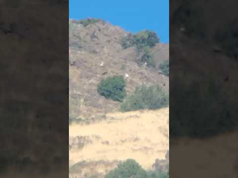 increíble resolución de enigma de Orbe en cerro de La Florida