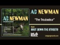A.C. Newman - The Troubadour