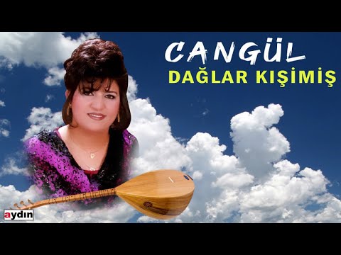 Video Yükleniyor...