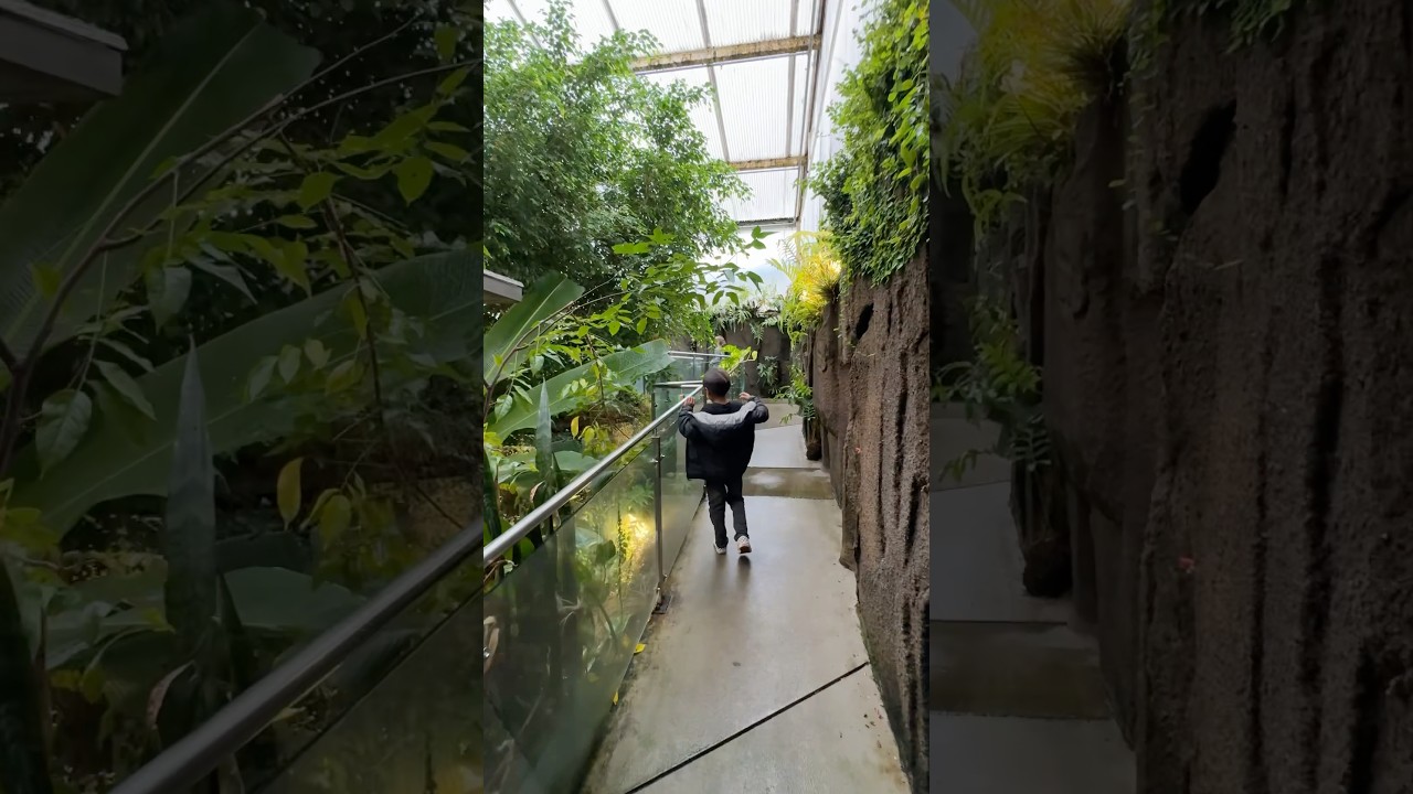 YouTube Short thumbnail