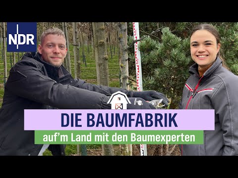 Gepflanzt und über Jahre geformt: Edle Bäume für die ganze Welt | Die Baumexperten | Folge 02