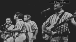 The Beach Boys: Please Let Me Wonder (Live - 1965)