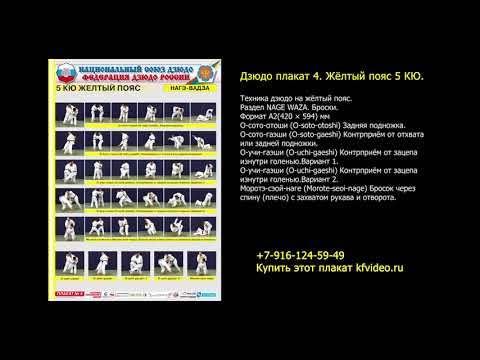 Сдача на пояс по дзюдо. Требования и материалы в плакатах и на видео. kfvideo.ru