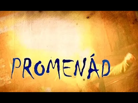 Videó előnézet