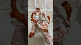 Lobster on the Loose! 🦞🏍️ This Shell Bike Ride is Claw-some!