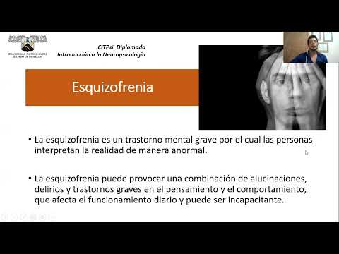 Video 4  Esquizofrenia