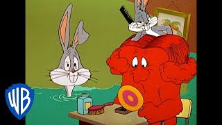 Looney Tunes  Lets Give Gossamer a Hairdo  Classic