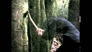 Baptists - Still Melt