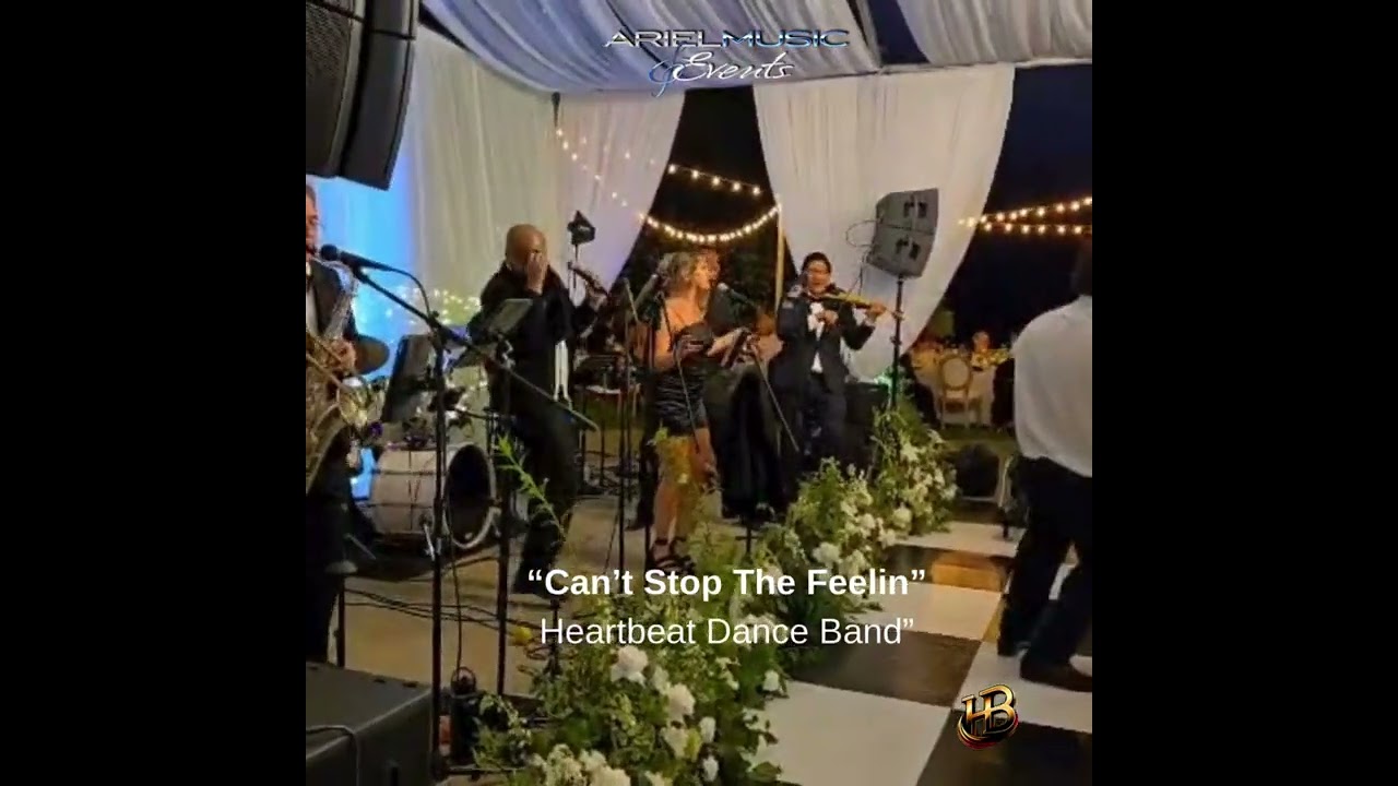 Can’t Stop The Feelin' (cover)