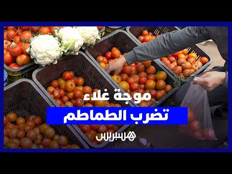 الغلاء يصل إلى الطماطم 