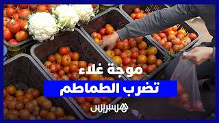 موجة غلاء تضرب الطماطم.. ارتفاع السعر إلى 14 درهما يضغط على القدرة الشرائية thumbnail