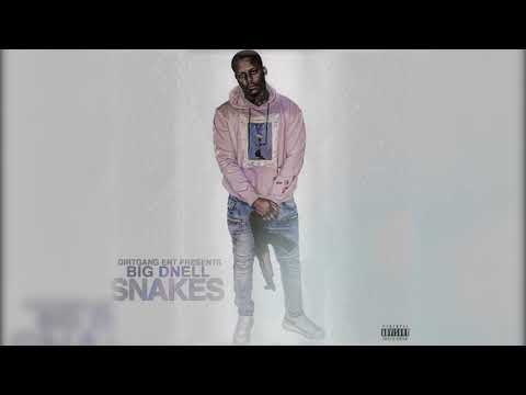Big Dnell “Snakes official audio”