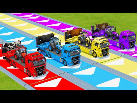 TRANSPORTING COWS & MINI LANDINI TRACTORS WITH MAN & VOLVO TRUCKS - Farming Simulator 22