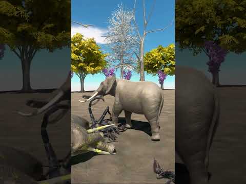 Ultimate Showdown Emperor Scorpion vs Giant Elephant