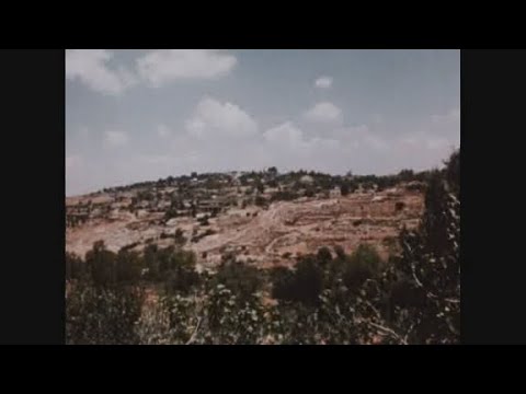 News Item (8cc11499-1ec7-68c5-a697-45ac3c2ffa26)