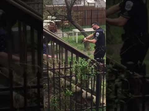 MPD Officer Gun Drawn 910 Quincy St. NW DC