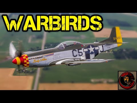 Warbirds WW II Legendary Planes