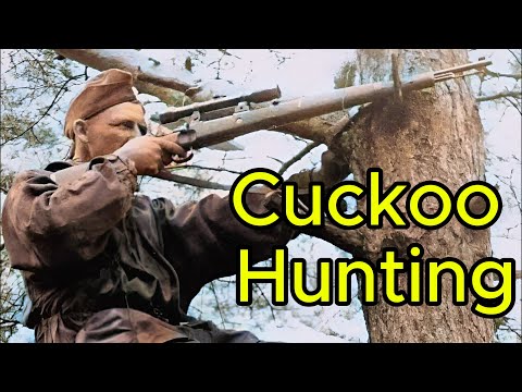 Snipers hunting each other. Hunting the "cuckoo". Sniper's diary