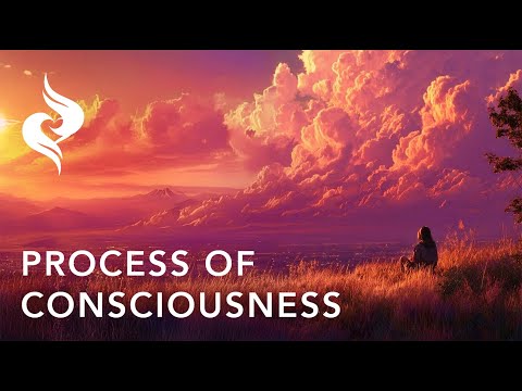 Seeing What You’ve Been Missing