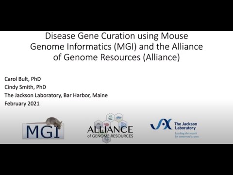 Mouse Genome Informatics and the Alliance of Genome Resources