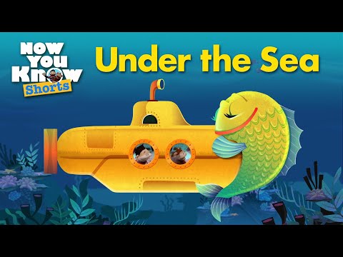 🌊Under the Sea🐠 | Now You Know | Animals for Kids 🧑🏻🐵