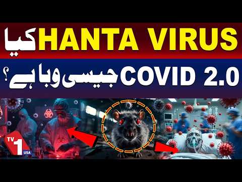 کیا ہنٹا وائرس ایک اور کورونا وبا بن سکتا ہے؟ علامات، خطرات اور حقائق