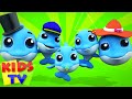 Dolphin Finger Family Baby Dolphin Song Nursery Rhymes Kids Songs Kids Tv Cartoon Videos
