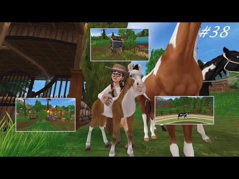 Huhn als Haustier! Mittwochs Update Star Stable Online SSO #38