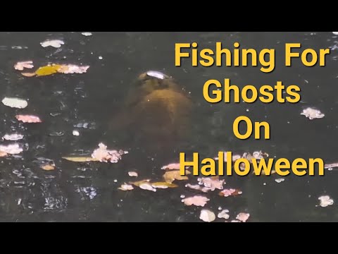 Forgotten Farm Ponds - The Ghosts of Halloween