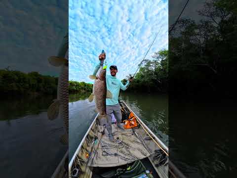 Pescaria de trairão no Rio do Peixe em Tabaporã Mato Grosso.