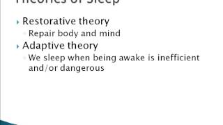 Psychology 101: Why We Sleep