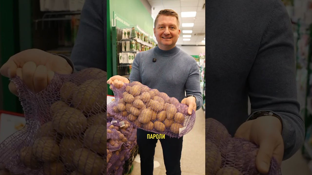 5 самых лучших сортов картофеля! Очень урожайные, быстро созревают и невероятно вкусные