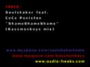 Soulshaker feat. CeCePeniston "ShameShameShame"(bassmonkeys)