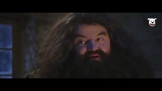 Potter YTP S1E2 - Je bent een verwend kreng, Harry