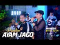 Jihan Audy - Pantun Ayam Jago (Feat. Mahesa)