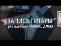 Запись гитары для альбома Animal ДжаZ / NEW TONE ACADEMY 
