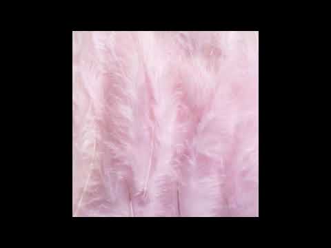 jealous girlfriend - ANGEL DIARY