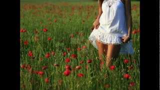 ♫ I Will ♫ ~ Alison Krauss