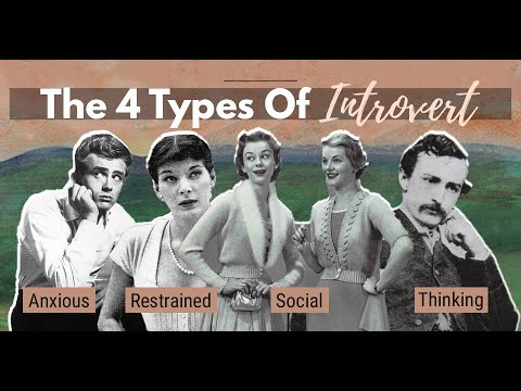4 Types Of Introverts - Which One Are You ?