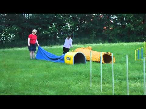 Dragon Lady Alkyra,trenink 31.5.2015