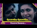 Rosave Rosave Video Song Ellaichami Tamil Movie Songs Sarathkumar Rupini Pyramid Music