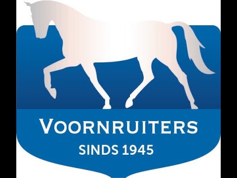 Subtop Dressuur Voornruiters 27-02-2021