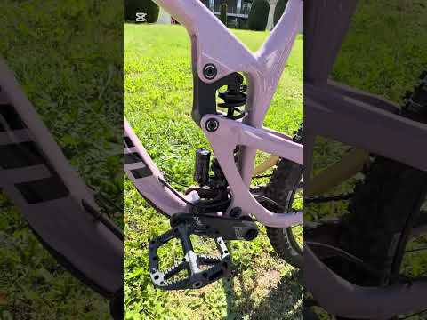 What a bike 💀New Propain Spindrift AL Park #mtb #propain #bike #check