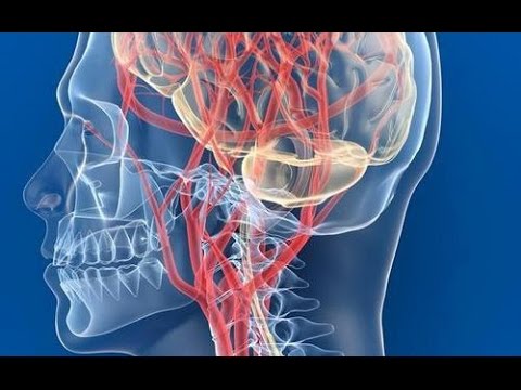 Лечение синовита лучезапястного сустава Чем грозит если не лечить шейный остеохондроз