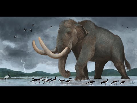 Mammoths: Titans of the Ice Age