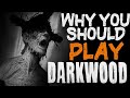 Why You Should Play: Darkwood